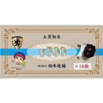 お買い物券B 9000円分