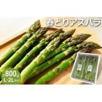 春どりアスパラ L~2Lサイズ 約800g