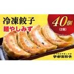 餃子20個入り×2箱