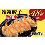 餃子 24個入り×2箱