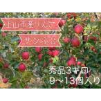 ふるさと納税 りんご(サンふじ)3kg 9〜13個 0120-2504 山形県上山市