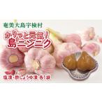かりっと元気 島ニンニク 塩漬 酢しょうゆ漬 各1袋