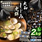 しじみ 宍道湖産 冷凍大和しじみLサイズ2kg 500g×4