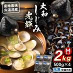 しじみ 宍道湖産 冷凍大和しじみMサイズ2kg 500g×4