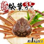 網代産 訳あり松葉がに1kgセット※お届けは2026年11月中旬~
