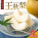 王秋梨 5kg