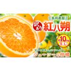 訳あり 紅八朔 約10kg