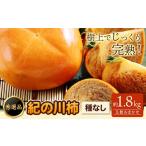希少 紀の川柿 約1.8kg
