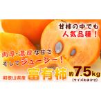 甘柿の王様 富有柿 秀品 約7.5kg