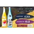 黒潮波 紀州完熟南高梅酒 720ml