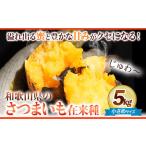 のサツマイモ 小さめ サイズ 5kg