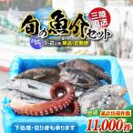 鮮魚セット 1~2人用 下処理済み 朝獲れ直送