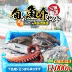 鮮魚セット 4~5人用 下処理済み 朝獲れ直送