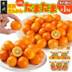 完熟きんかん たまたまL&2L 計1kg