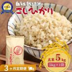 定期便 5kg