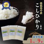 コシヒカリ 真空包装 精米 1kg
