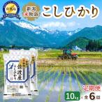 定期便 10kg