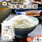 定期便 10kg