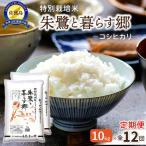 定期便 10kg