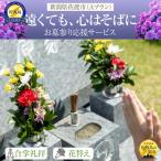 お墓参り代行 サービスB 1回 合掌 清掃 周辺の雑草