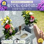 お墓参り代行 サービスA 年4回 タクシー