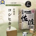 コシヒカリ 精米 5kg