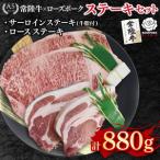 常陸牛サーロインステーキ600g 300g×2枚 +ローズポークロー…