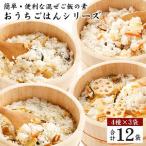 簡単 便利な混ぜご飯の素 おうちごはんシリーズ12