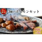 3種のホルモンセット 160g×3袋