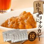 産黒毛和牛 自社ブランド 季じょん山牛 オリジナルカレー10…