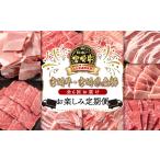 ふるさと納税 【6ヶ月定期便】ミヤチク 宮崎牛&宮崎県産豚肉お楽しみ定期便 国産牛肉 国産豚肉<8-3> 宮崎県西都市
