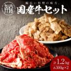 料理の味方セット 切り落とし ボイルスジ肉
