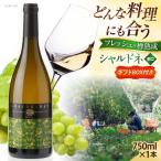 ワイン シャルドネスパークリング 1本