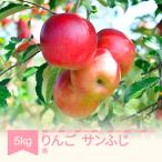 サンふじ 約5kg