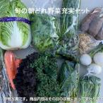 旬の朝どれ野菜充実おまかせセット やさい