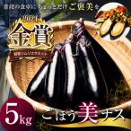 ソムリサミット金賞 ごほう美 ナス 約5kg