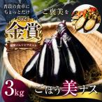 野菜ソムリエサミット金賞 ごほう美ナス 約3kg