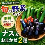 Heartich Farm旬の野菜セット