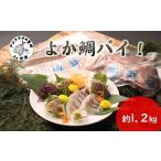 真鯛1匹柵どり済みで刺身 焼物 煮物に扱いやすさ抜群