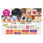 梅 梅干し 日本唯一 烏梅職人手づくり 七百年の伝統 本物梅づくし 梅 味比べ8点セット