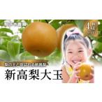 新高梨 大玉 約4kg