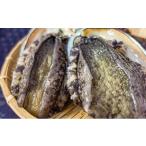 三陸の荒波で育った久慈産天然 あわび 生冷凍 1.2kg
