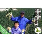 fu.... налог Awaji Island производство шар лук порей 3kg Hyogo префектура юг ... город 