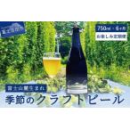 ふるさと納税 【6回お届け!お楽しみ定期便】ワイングラスで飲む季節のクラフトビール 750ml シャンパンボトル BRIGHT BLUE BREWING 山梨県富士吉田市