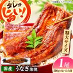 うなぎの蒲焼 1尾