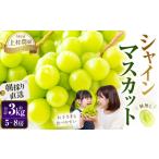 上村農園 ハウス シャインマスカット 5房から9房 約3kg