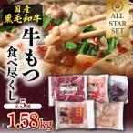 牛肉 ホルモン 牛もつ 食べ尽くし オールスターセット