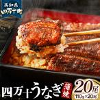 四万十うなぎ 蒲焼き 110g×20尾