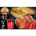 ふるさと納税 うなぎ 白焼き 蒲焼き（2本セット） 国産うなぎ 鰻蒲焼 土用の丑の日 ／Esu-126 高知県四万十町