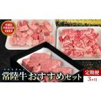 牛肉 セット 共通返礼品 定期便 常陸牛 霜降りセット